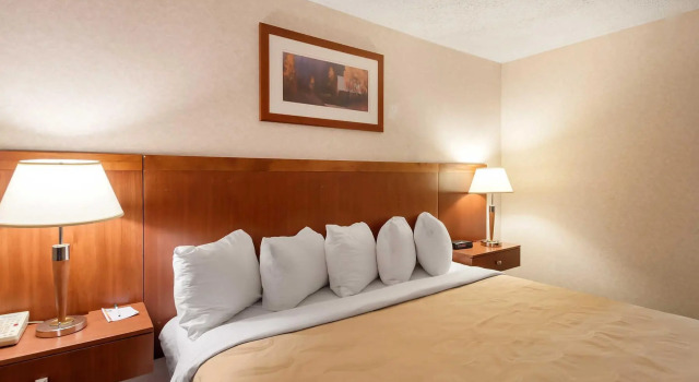 Номер Standard Best Western Plus Laurel