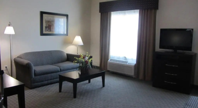 Двухместный люкс Hampton Inn & Suites Dumas