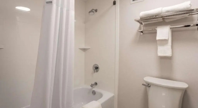Четырёхместный номер Standard Comfort Inn & Suites Buffalo Airport
