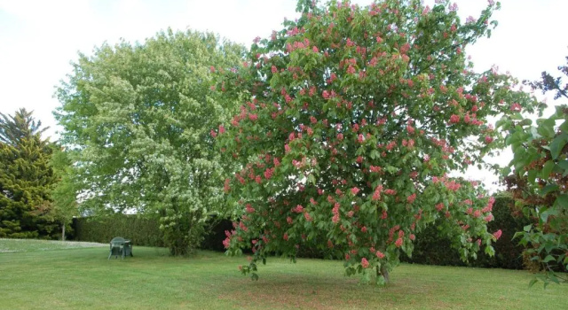 Коттедж Chambres dHôtes Les Coquelicots