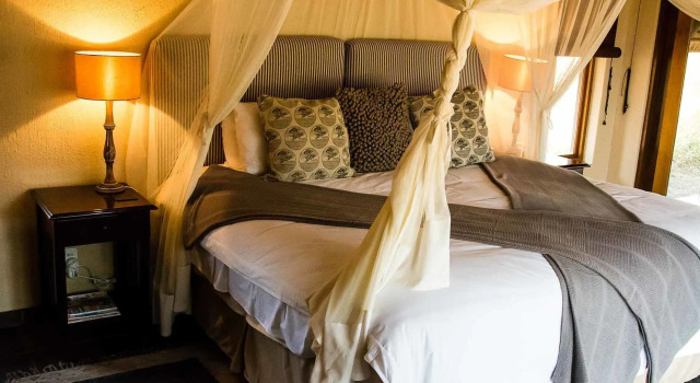 Thornybush Jackalberry Lodge