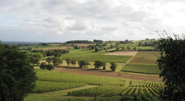 Коттедж Le Mas de Doat, Gîte de Charme 4 étoiles dans le Triangle d Or proche Gaillac et Albi