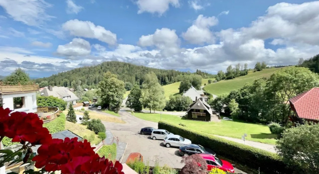 Номер Standard Hotel Sonnenberg