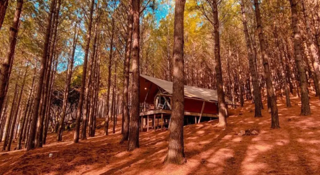 Номер Deluxe с частичным видом Tedesco Eco Park