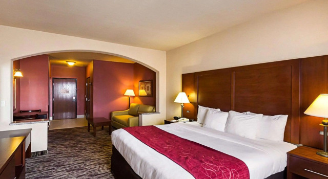 Двухместный люкс Comfort Suites McAllen Airport and La Plaza Mall