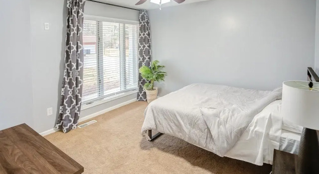 Belleville Beauty - Luxury Stay For Work Or Stay For Play Either Way This Is The Perfect Property For You! 4 Bedroom Residence by RedAwning, Réserver Maison de vacances Belleville Illinois