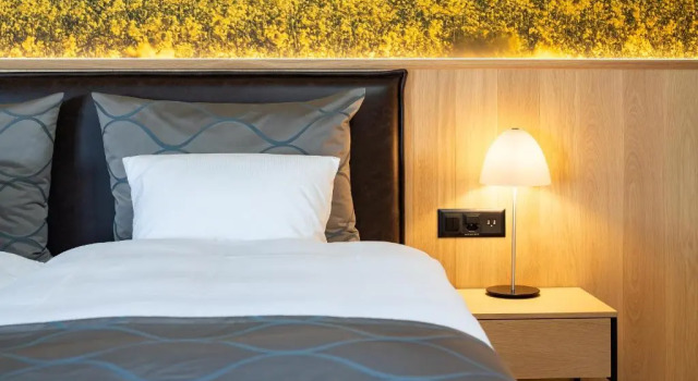 Двухместный номер Standard с балконом и с видом на озеро Seehotel Winkelried