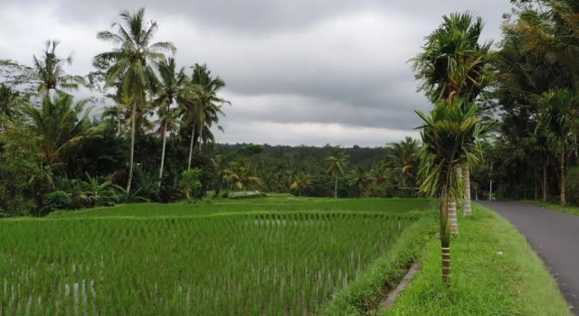 Geriya Homestay, Buchen Sie Hotel Tampaksiring Gianyar