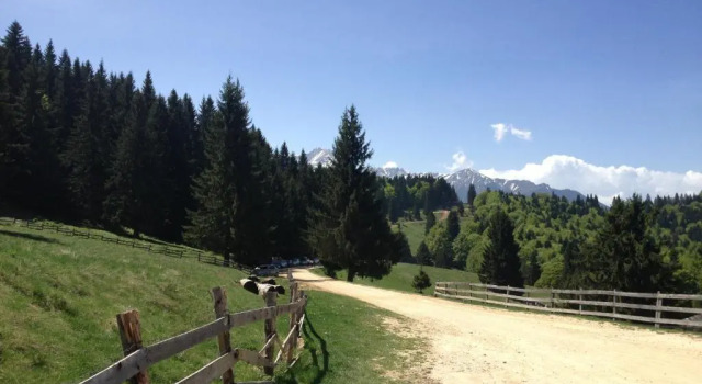 Cabana Poiana Secuilor, Rezervovat Hotel Hotely v Prahova Valley s parkováním, Parkování