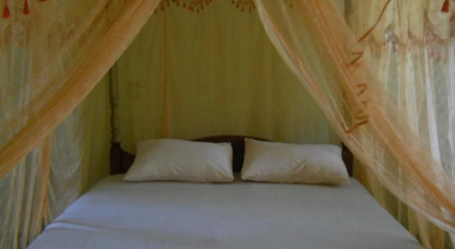 Palm Garden Tourist Guest House
