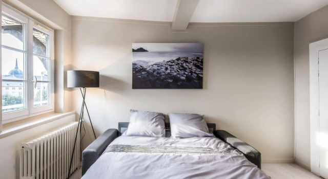 Home Sweet Rouen - Appartement Flaubert, Забронировать Апартаменты/квартира Апартаменты Руана, рядом с Музей Флобера и истории медицины, Апартаменты/квартира