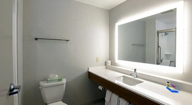 Люкс Standard Holiday Inn Express Hotel & Suites Richwood - Cincinnati South by IHG