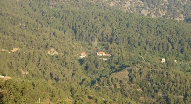 Zorpides House, Book Hotel Kakopetria Troodos
