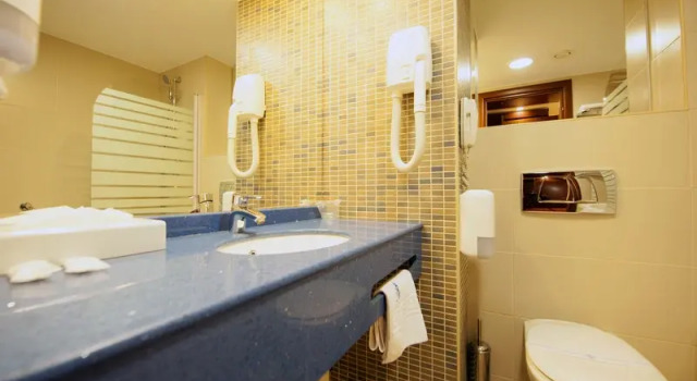 Superior Single room with balcony Hotel Minerva