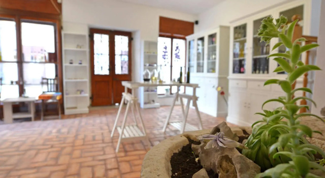 Villa Borgo B&B