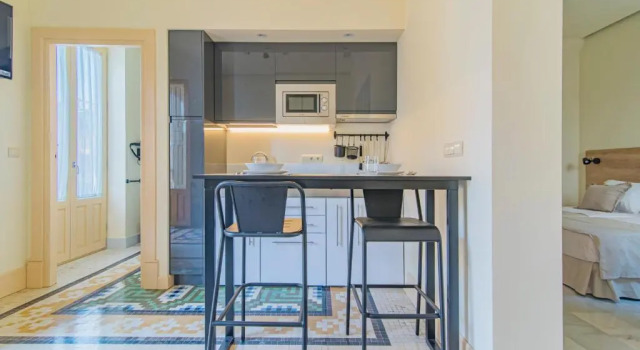 Апартаменты c 1 комнатой Mosaiko Homes Catedral Granada