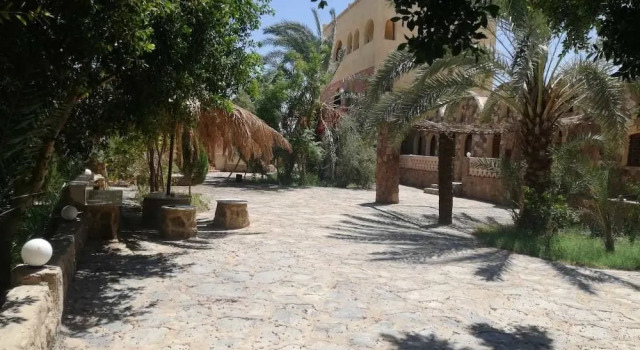Номер Standard Ahmed Safari Camp