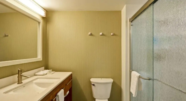 Одноместный люкс Home2 Suites By Hilton Opelika Auburn