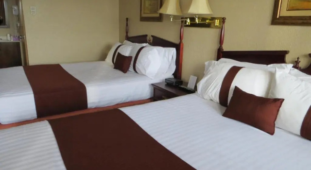 Четырёхместный номер Deluxe Coast Red Deer Hotel