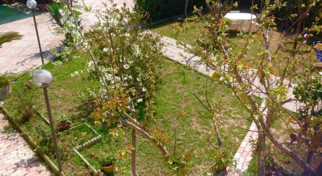 Monolocale in Casale, Book Apartment Porto Azzurro Elba