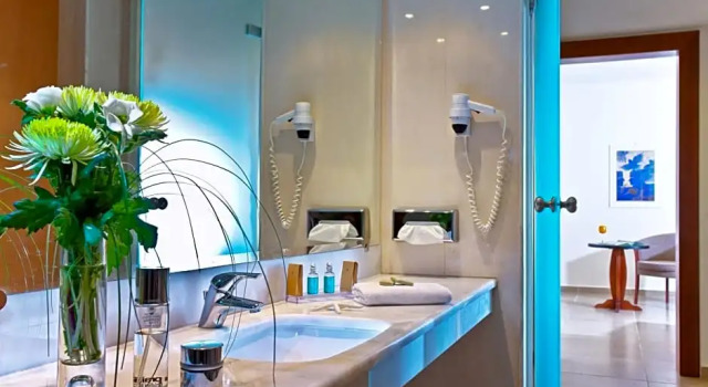 Двухместный номер Standard с видом на сад Apollonia Beach Resort & Spa