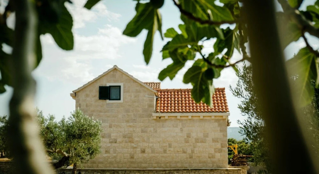 Eco Holiday House, Private Land of 11k sq. Meters!, Prenota Hotel Pučišća 