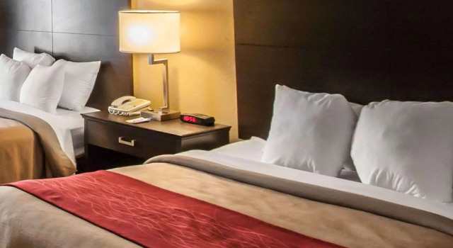 Comfort Inn Hayti, Boek Hotel Hotels in Missouri met zwembad, Zwembad