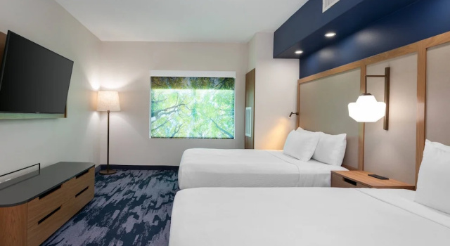 Люкс Fairfield Inn & Suites by Marriott Atlanta Stonecrest