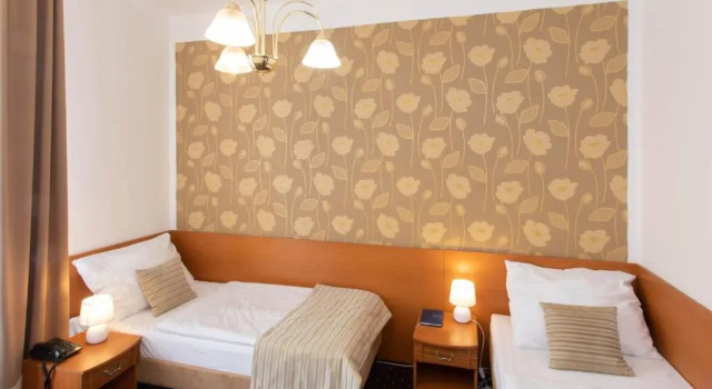Двухместный номер Standard Novoměstský hotel