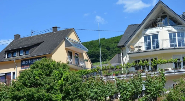 Weingut Sauer-Kettermann