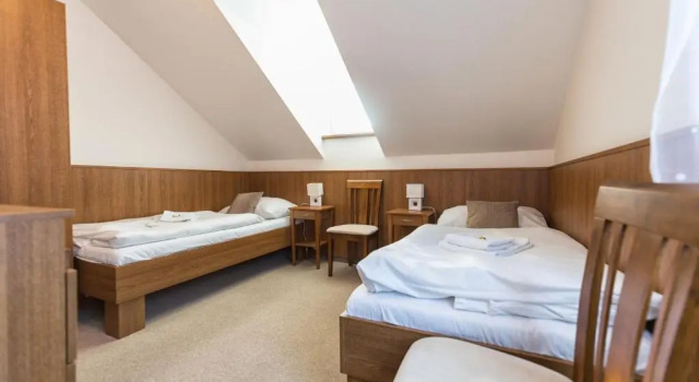 Двухместный номер Standard Golf&Wellness Resort Alfrédov