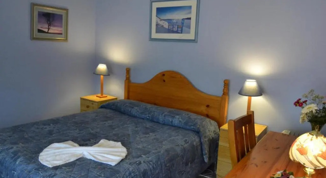 Двухместный номер Standard Palms Bed & Breakfast
