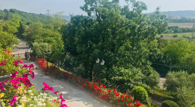 Студия Deluxe Villa Poggio Ulivo Pool-Apartments