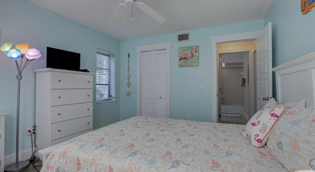 Anna Maria Island Beach Palms 7A