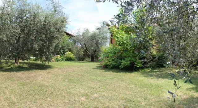 B&B Drusilla Garden