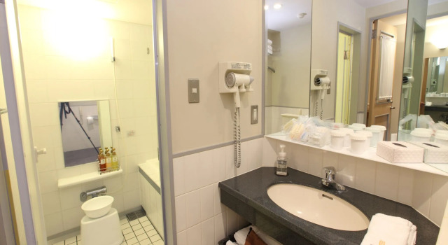 Двухместный номер Superior Hotel Sosei Sapporo MGallery Collection