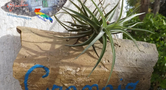 Двухместный номер Standard с видом на сад Giardino Nascosto