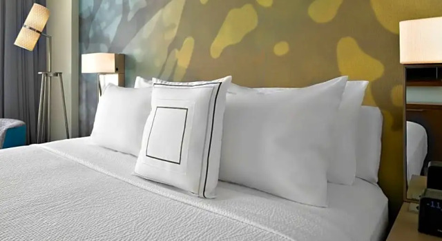 Двухместный номер Standard с красивым видом из окна Courtyard by Marriott Delray Beach