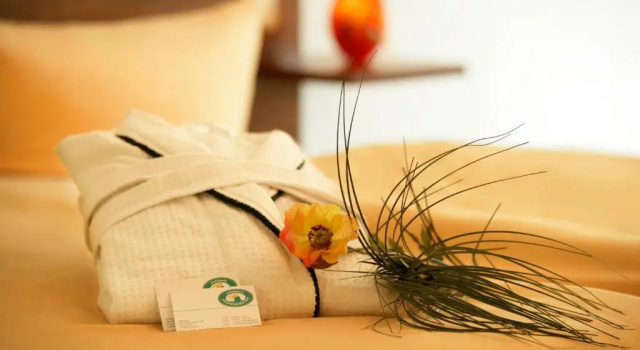 Номер Standard Hotelpark der Westerwald Treff
