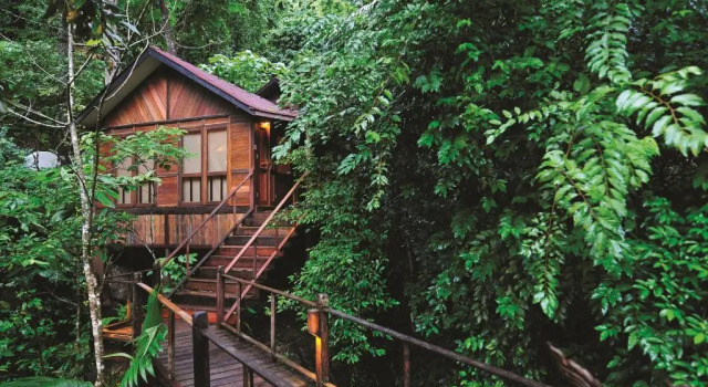 Номер Standard Japamala Resort by Samadhi