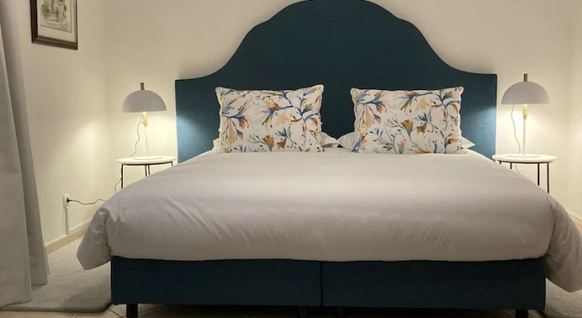 Двухместный люкс Villa Tranberg Suites