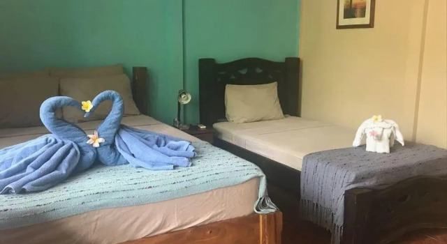 Aloha Surf Nosara, Book Hotel Hoteller i Guanacaste med pool, Swimmingpool