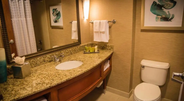 Номер Standard с балконом Hilton St. Petersburg Carillon Park