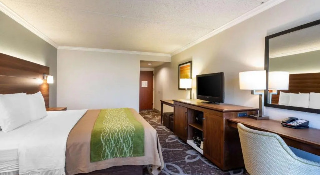 Двухместный номер Deluxe Comfort Inn Anaheim Resort