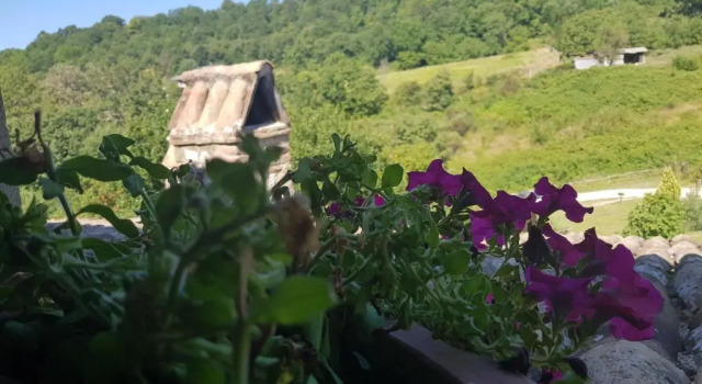 Номер Standard Agriturismo Santa Giusta B&B