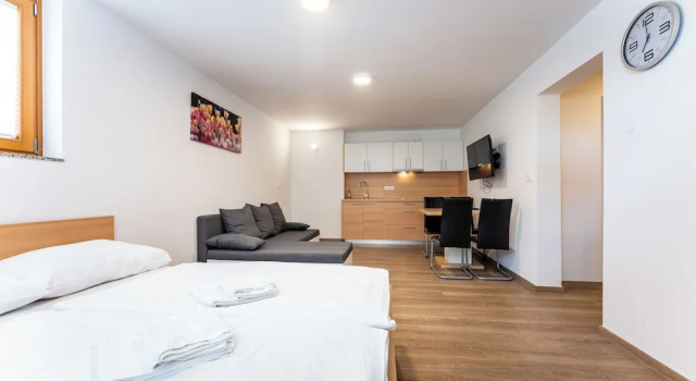 Апартаменты c 1 комнатой PJ Apartments & Wellness