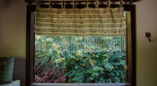 Arua Hostel e Observacao da Natureza