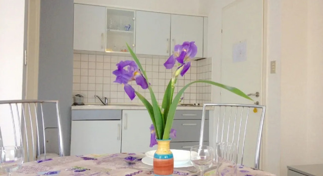 Adorable Studio Apartment 200 Meters Distant From the Beach !