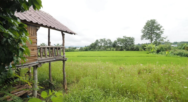 Ton Lang Homestay