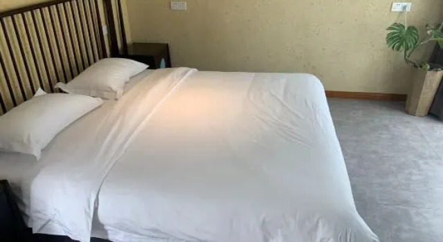 Люкс Deluxe Floral Hotel · Pin Shan Jurong